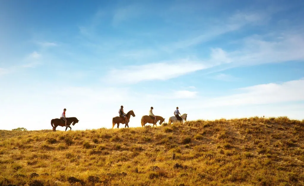 horseback riding tour jackson hole wyoming