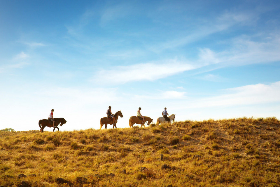 Horseback Riding