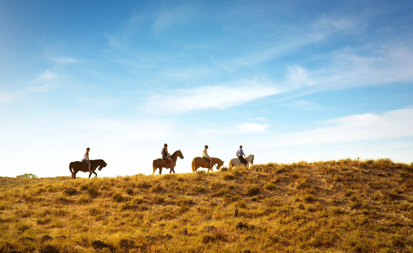 Horseback Riding