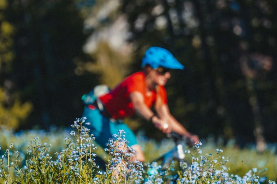 Mountain Biking