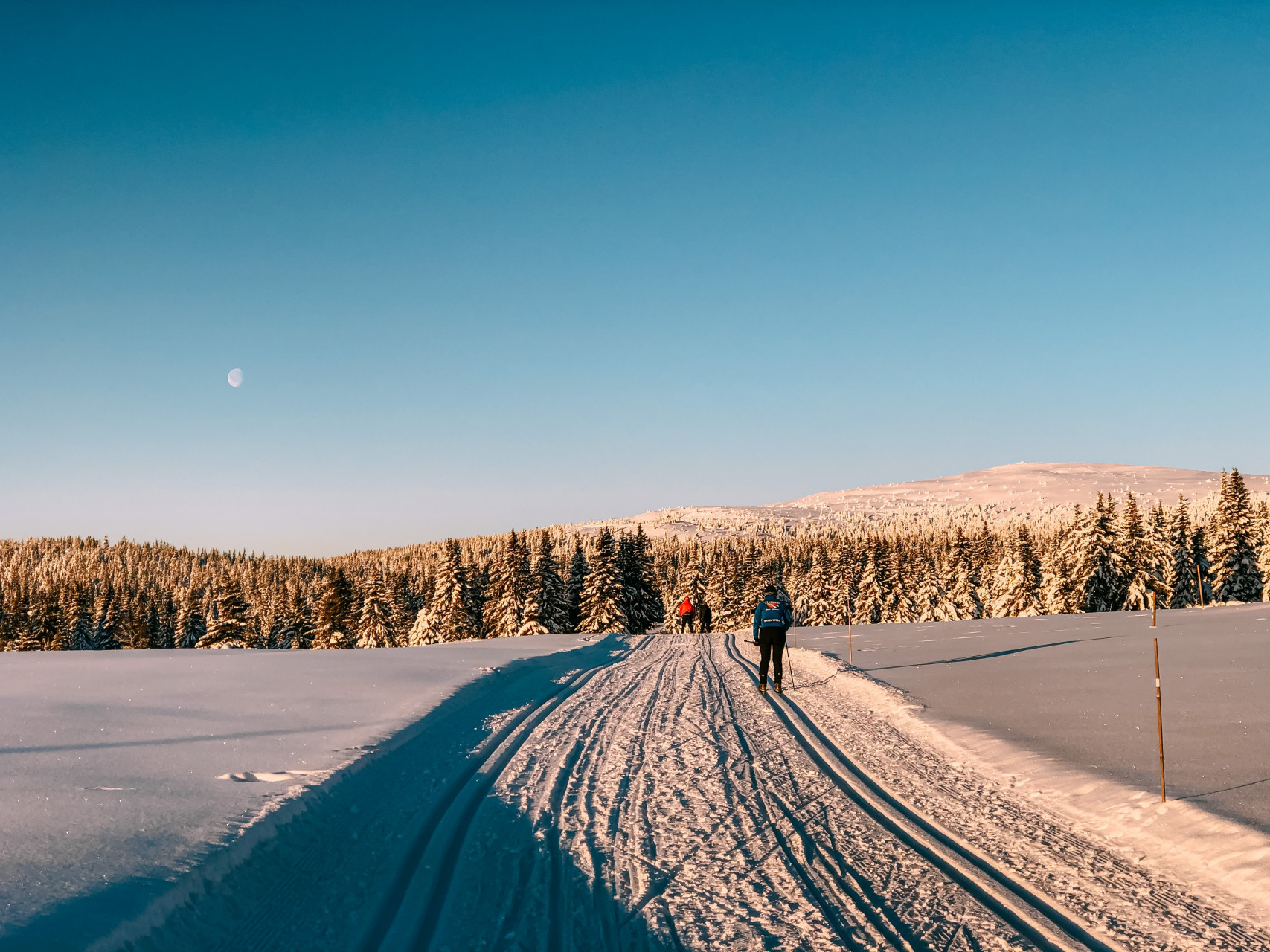 Cross Country Skiing