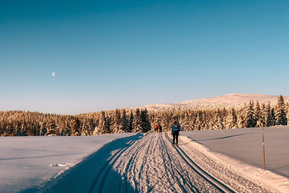 Cross Country Skiing