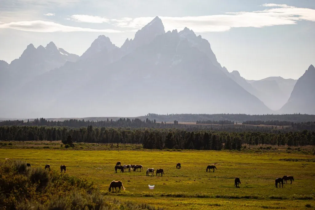 national parks hotel package jackson hole