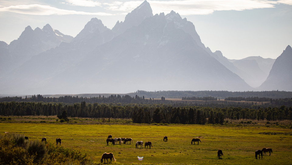 Welcome to the Tetons