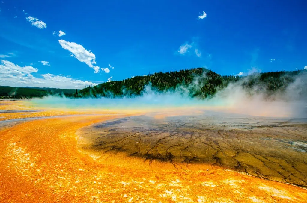 yellow stone national park guided tour