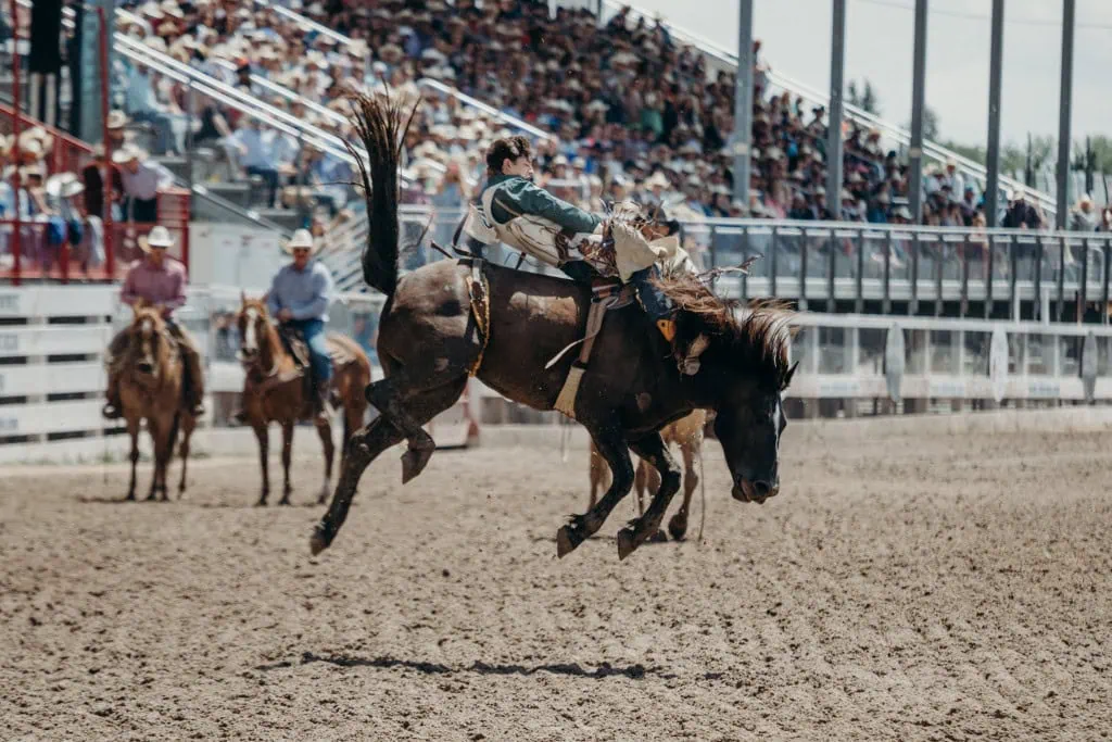 jackson hole rodeo
