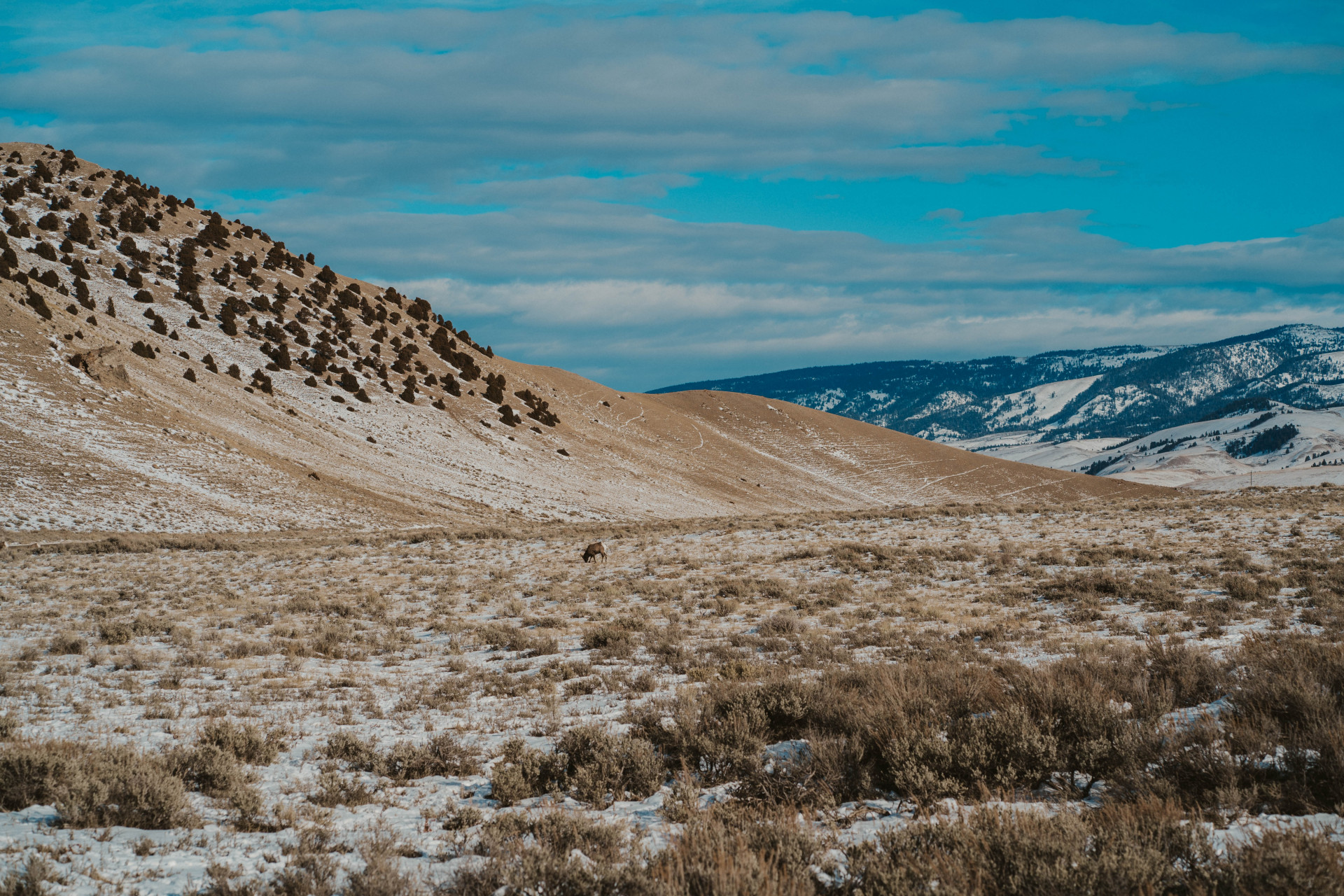 National Forests