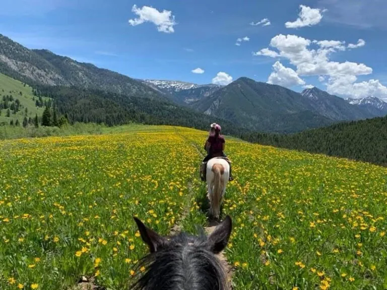 jackson hole summer