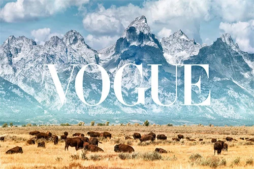 Vogue