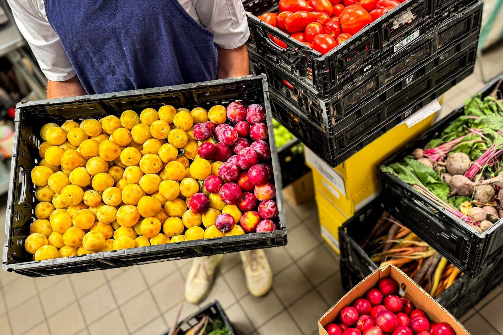 Cook What Comes: How the Local Growing Season Shapes the Wild Sage’s Menu