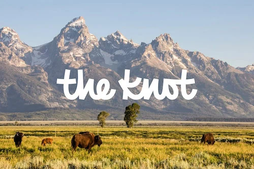 Scenic landscape with mountains, grassland, and grazing bison, with "the.knot" text overlay.