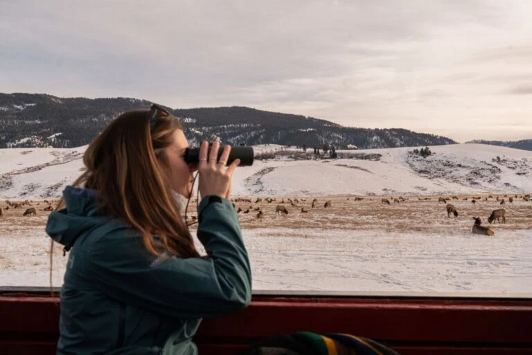 rusty parrot concierge team for elk refuge