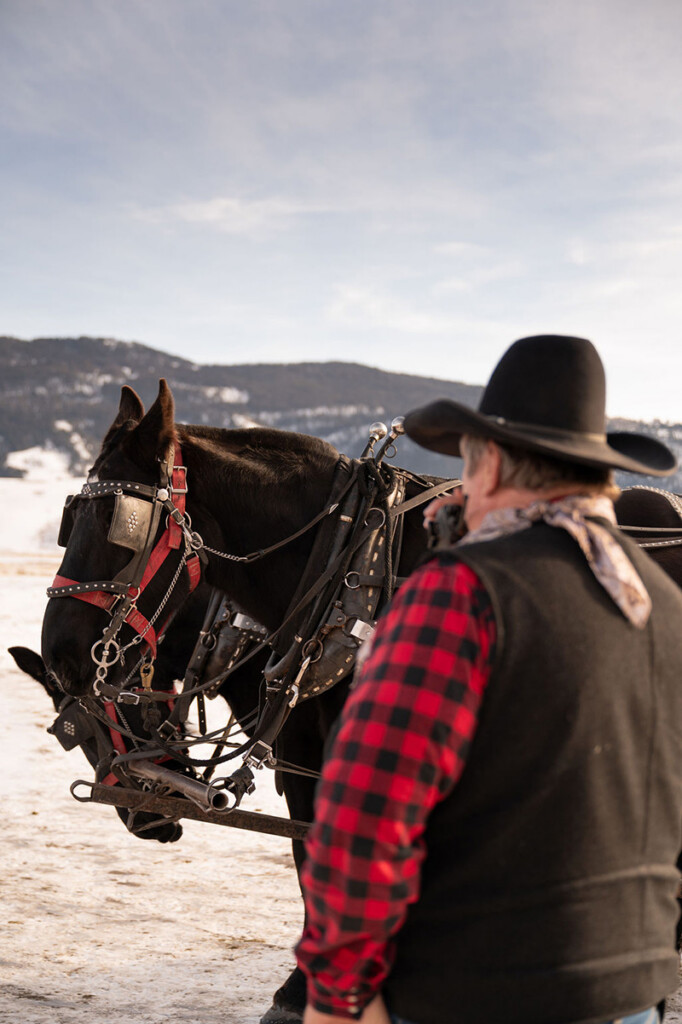 sleigh rides with the elk in jackson hole