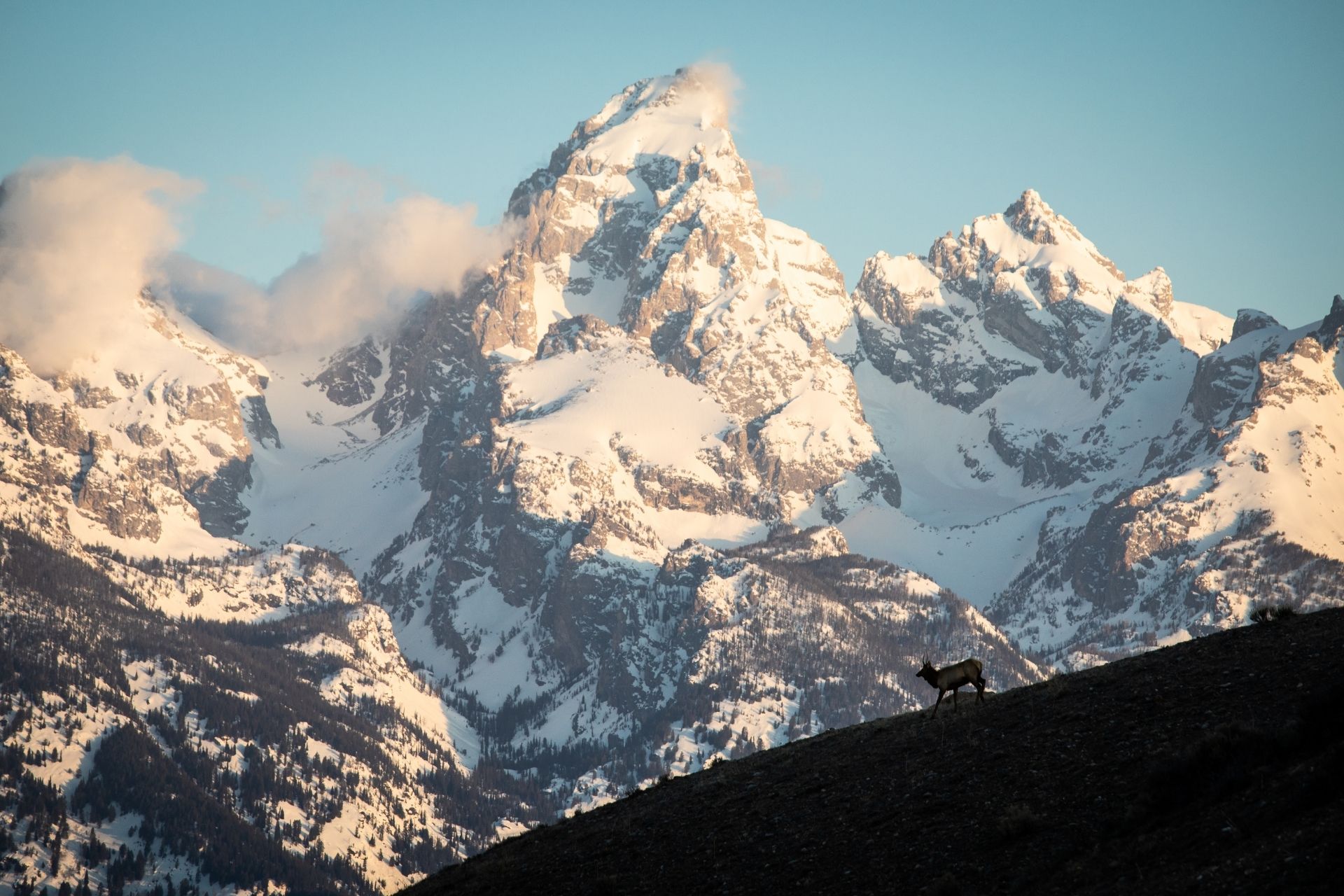 Grand Tetons in the Spring