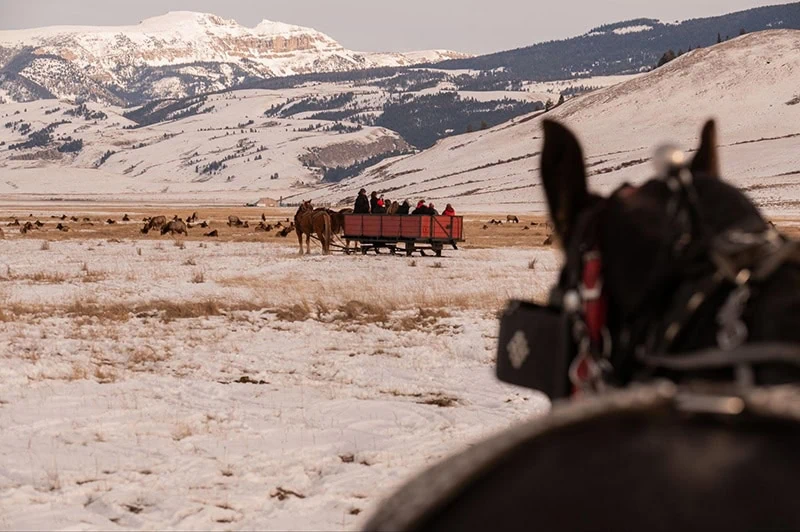 Horse-drawn carriage in snowy landscape with mountains in the background.