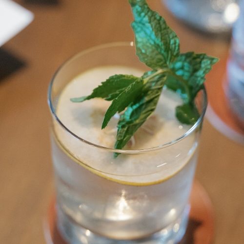 Clear cocktail with mint leaves and lemon slice in a glass.