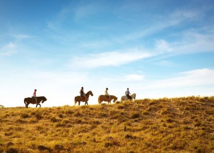 horseback riding tour jackson hole wyoming