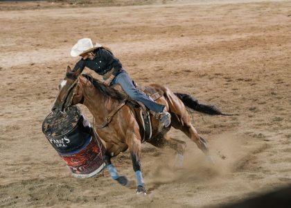 cowboy experiences
