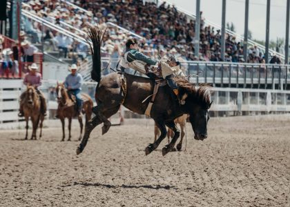 jackson hole rodeo