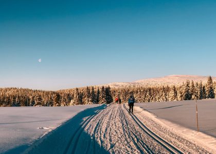 skiiing in jackson hole